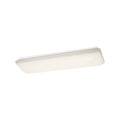 Ceiling Light 10301WHLED