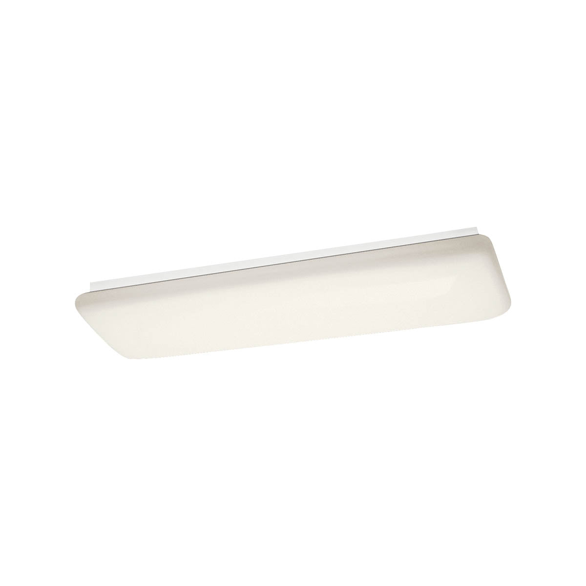 Ceiling Light 10301WHLED