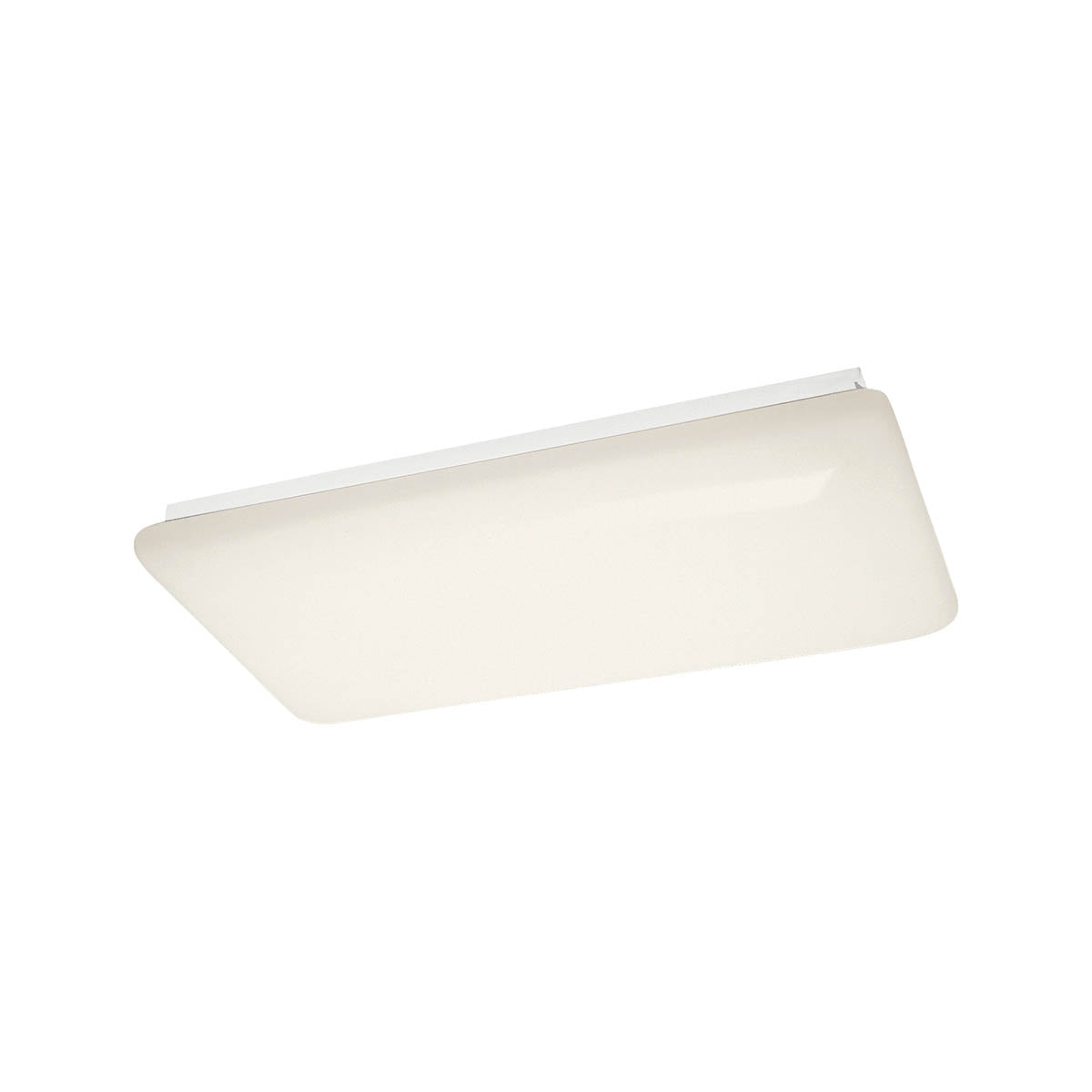 Ceiling Light 10303WHLED