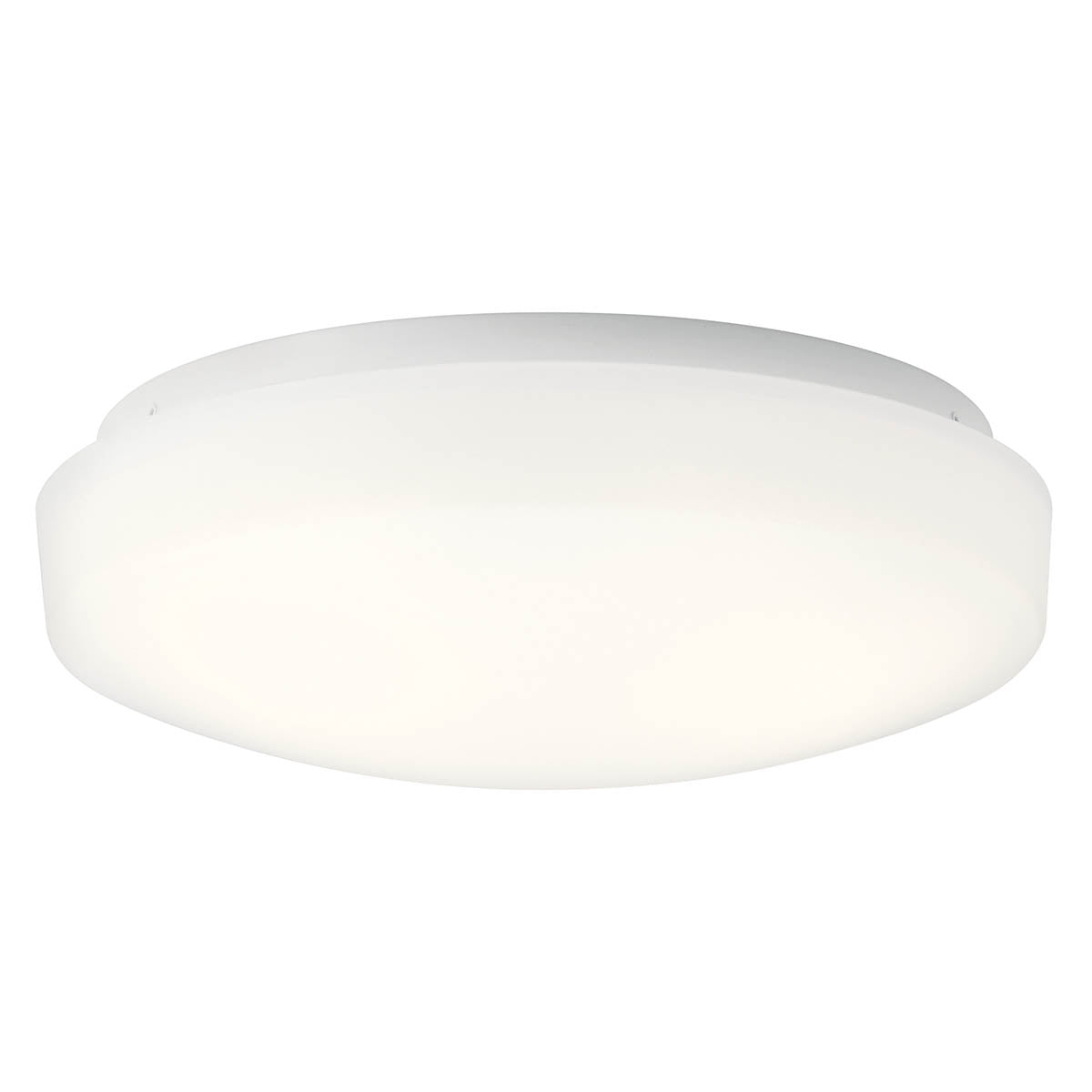 Ceiling Space Ceiling Light 10766WHLED