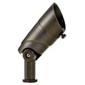 Landscape LED Accent Light