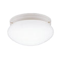 Ceiling Space Ceiling Light 208WH