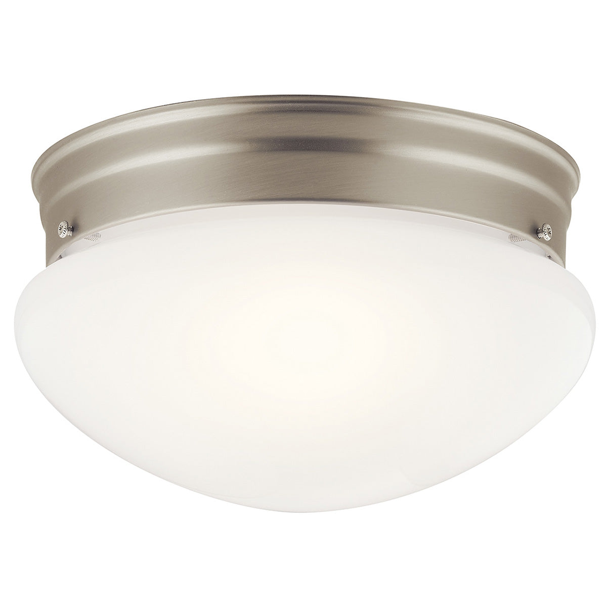 Ceiling Space Ceiling Light 209NI