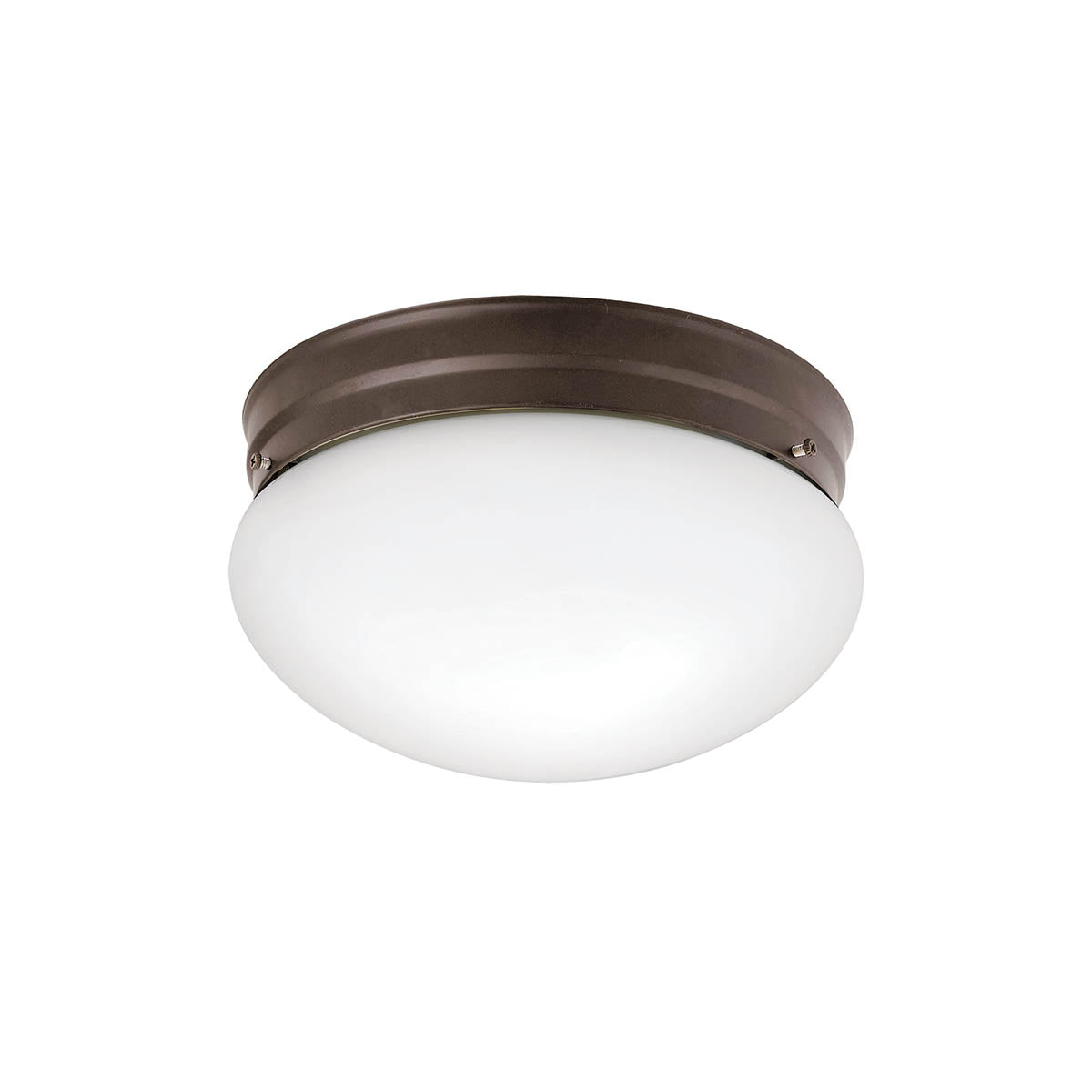 Ceiling Space Ceiling Light