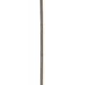 Stem 2999CLP