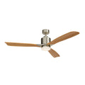 Ridley Ceiling Fan 300027BSS
