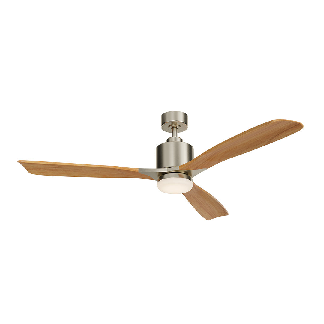 Ridley Ceiling Fan 300027BSS