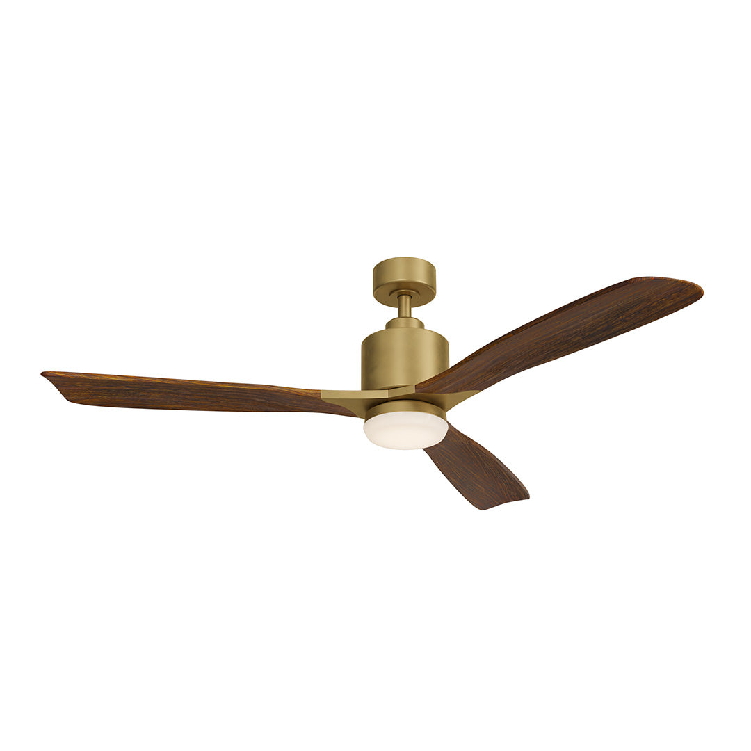 Ridley Ceiling Fan 300027NBR