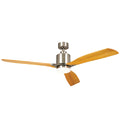 Ridley Ceiling Fan 300075BSS
