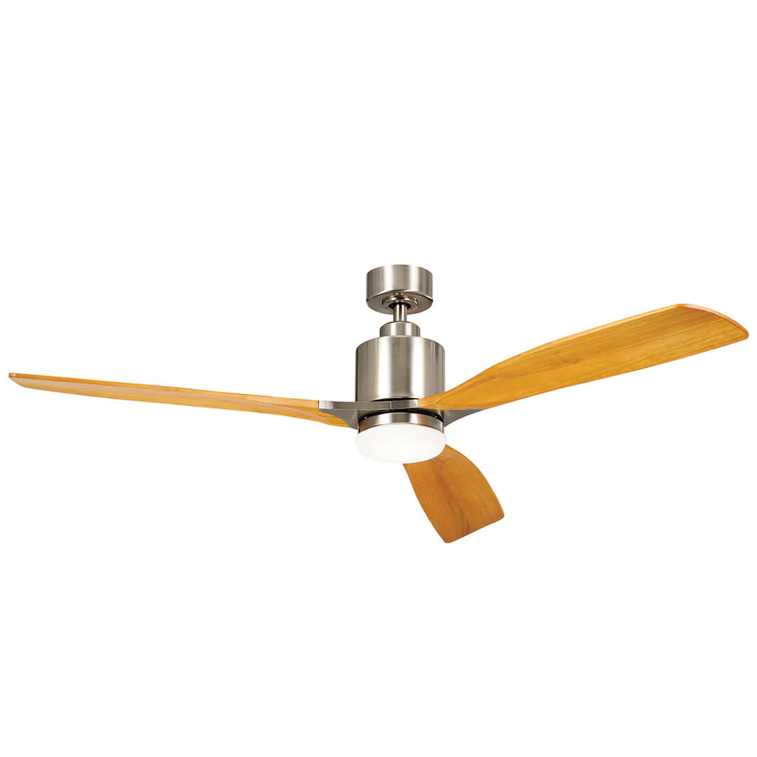 Ridley Ceiling Fan 300075BSS