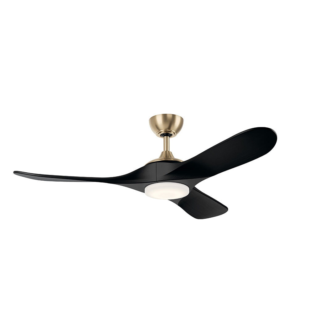 Mylo Ceiling Fan 310552CPZ