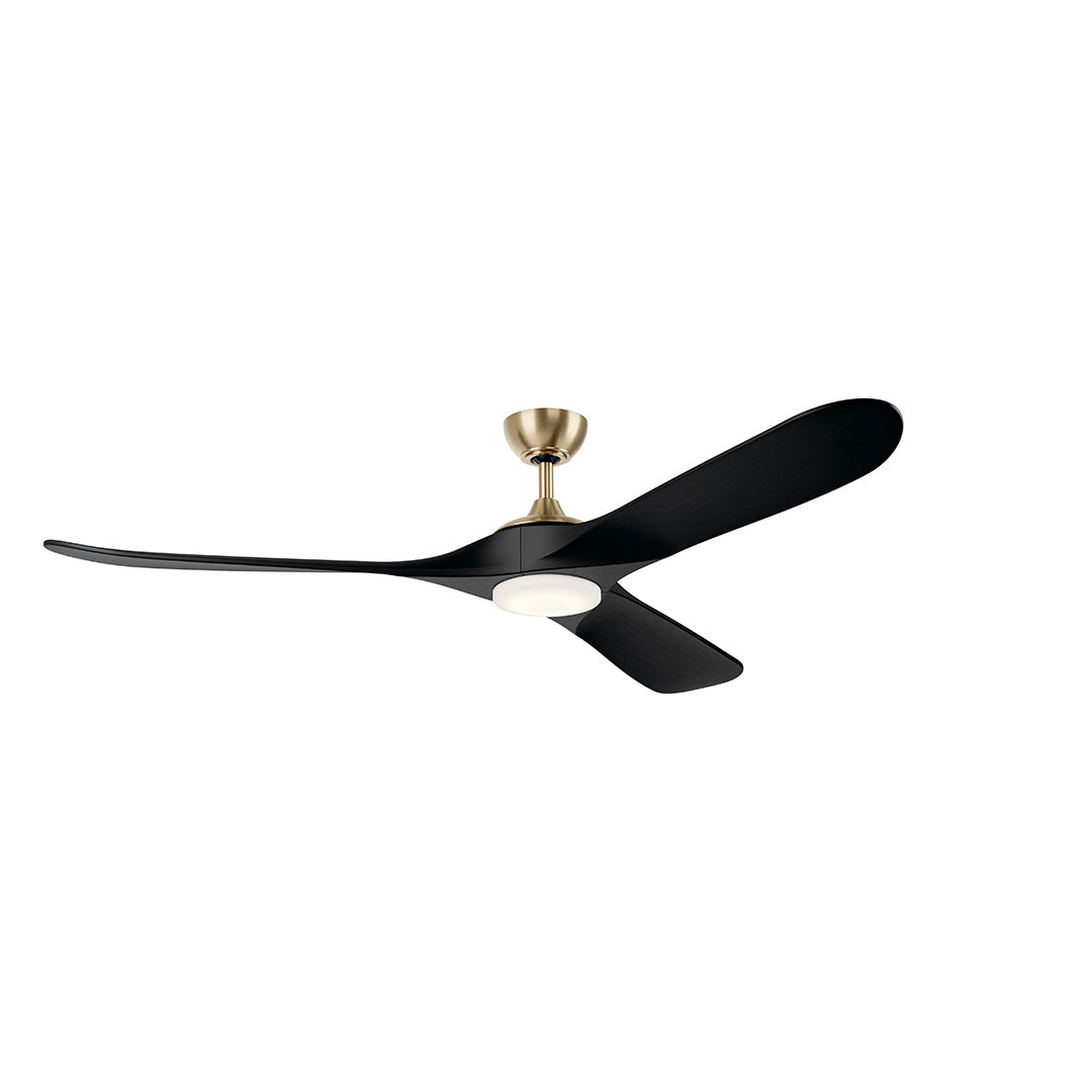Mylo Ceiling Fan 310570CPZ