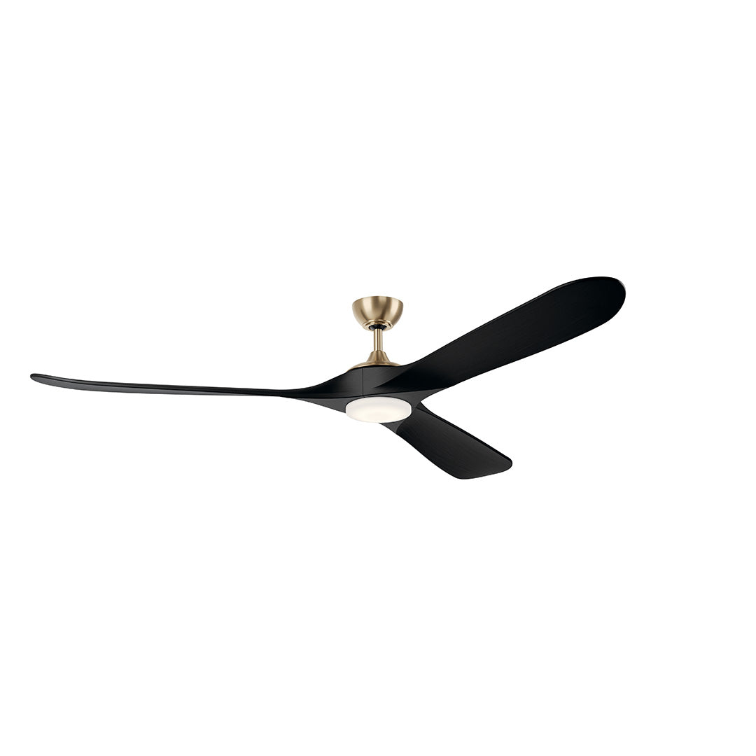 Mylo Ceiling Fan