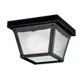 Outdoor Miscellaneous Outdoor Ceiling Light 365BK