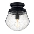 Eloisa Ceiling Light 38278