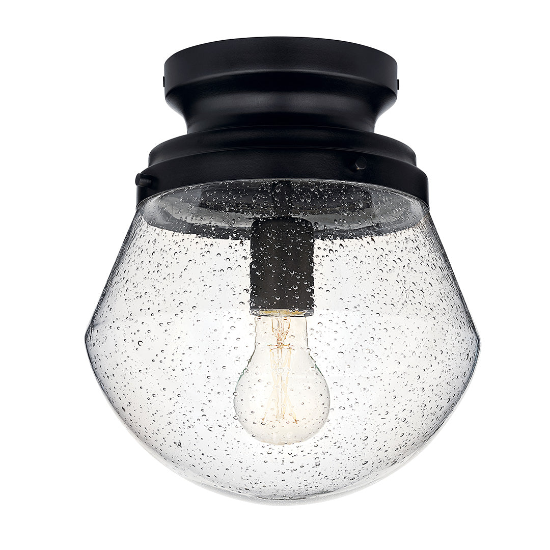 Eloisa Ceiling Light 38278