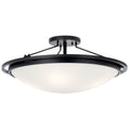 Ceiling Light