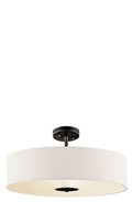 Ceiling Light 42121OZ