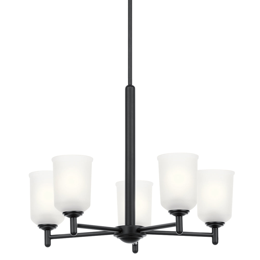 Shailene Chandelier 43671BK