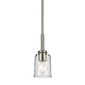 Shailene Pendant 43674NICLR