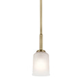 Shailene Pendant 43674NBR