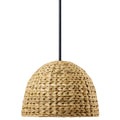 Raffiana Pendant 44399BK