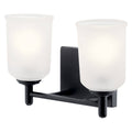 Shailene Vanity Light 45573BK