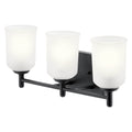 Shailene Vanity Light 45574BK