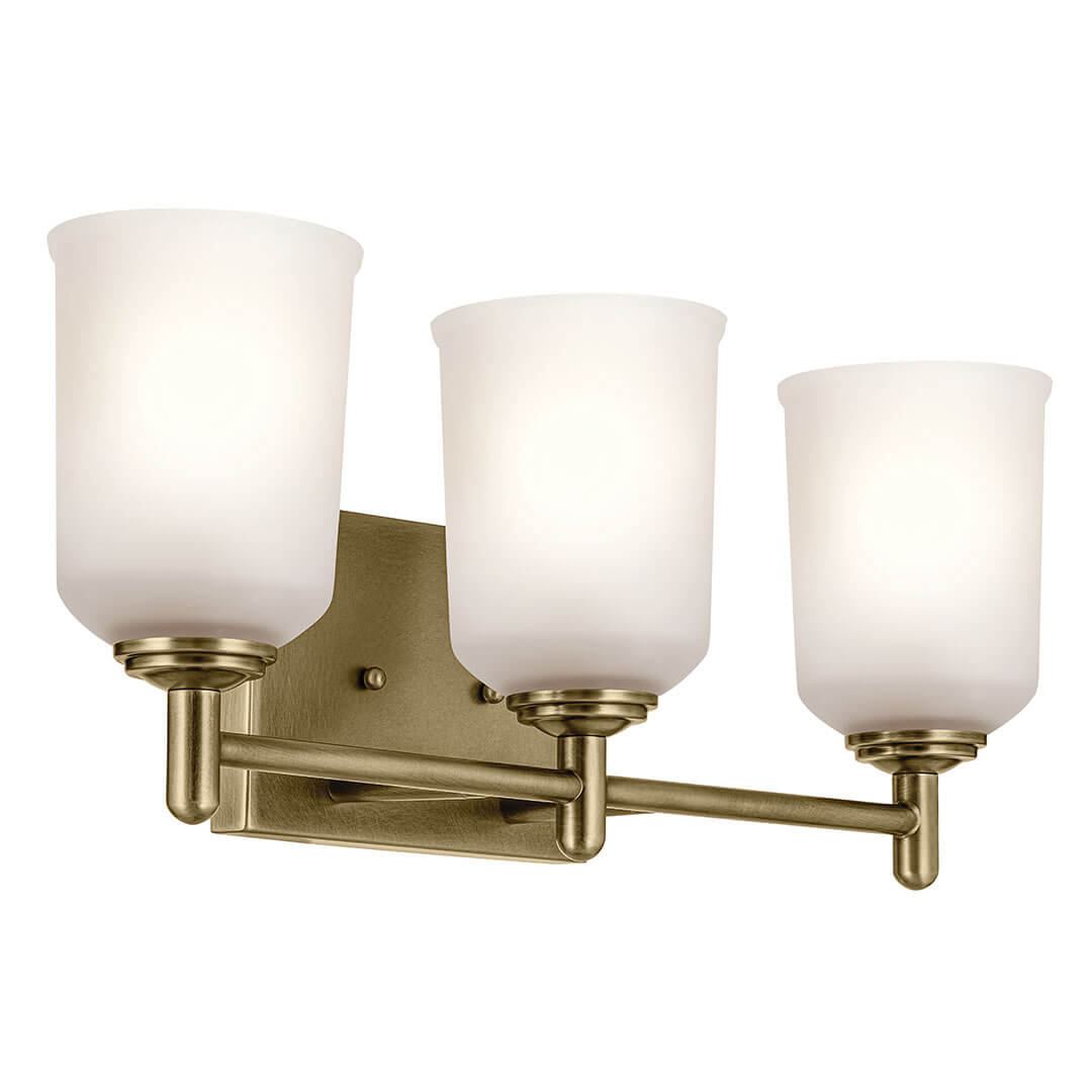 Shailene Vanity Light 45574NBR