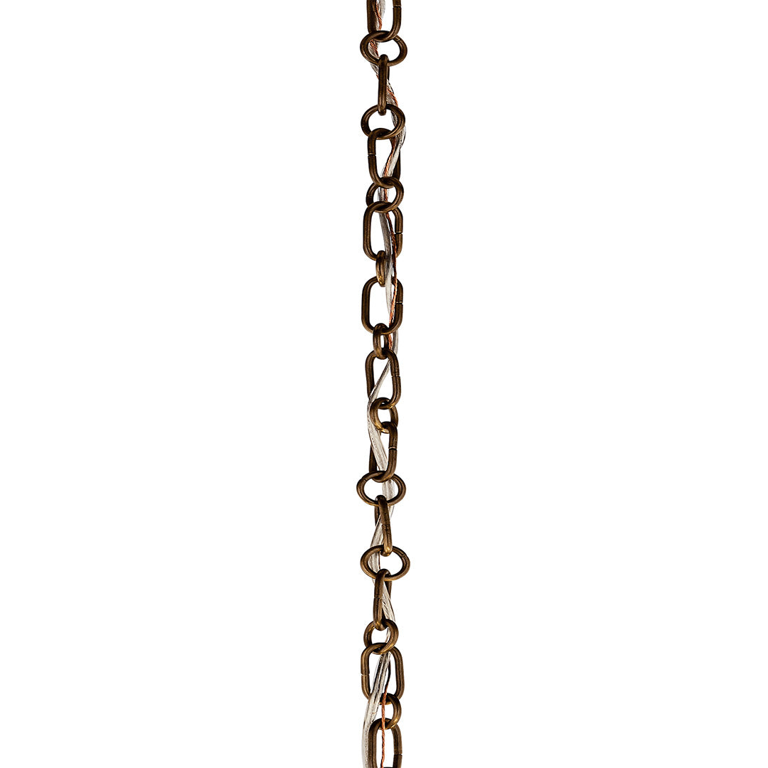 Chain 4945LBZ