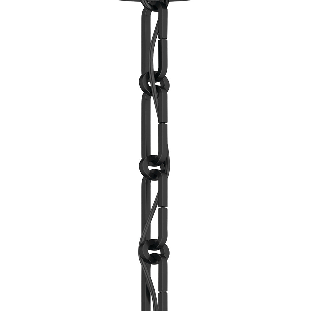 Chain 4946BK