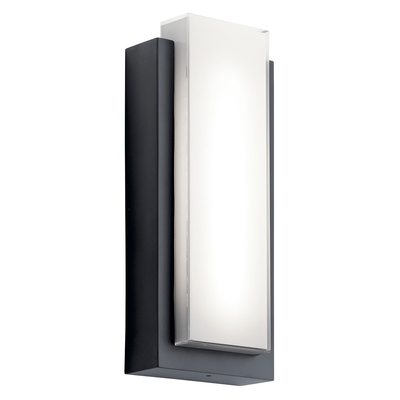 Dahlia Outdoor Wall Light 49557BKLED