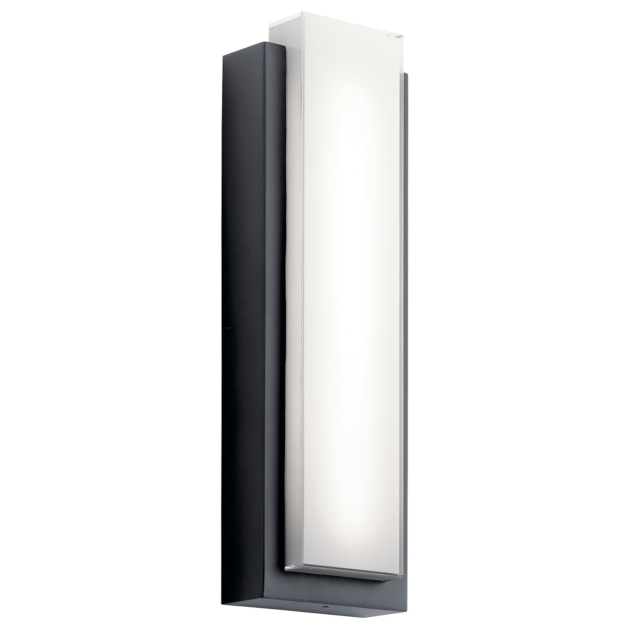 Dahlia Outdoor Wall Light 49558BKLED