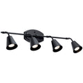 Sylvia Ceiling Light 52129BK