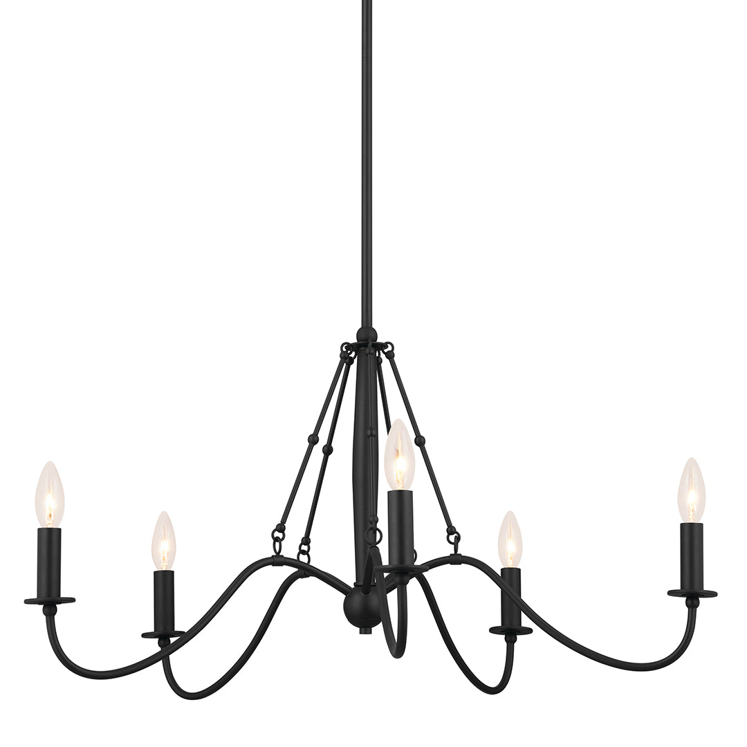 Freesia Chandelier 52455BKT