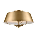 Luella Ceiling Light 52542BNB