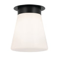 Albers Ceiling Light 52585BK
