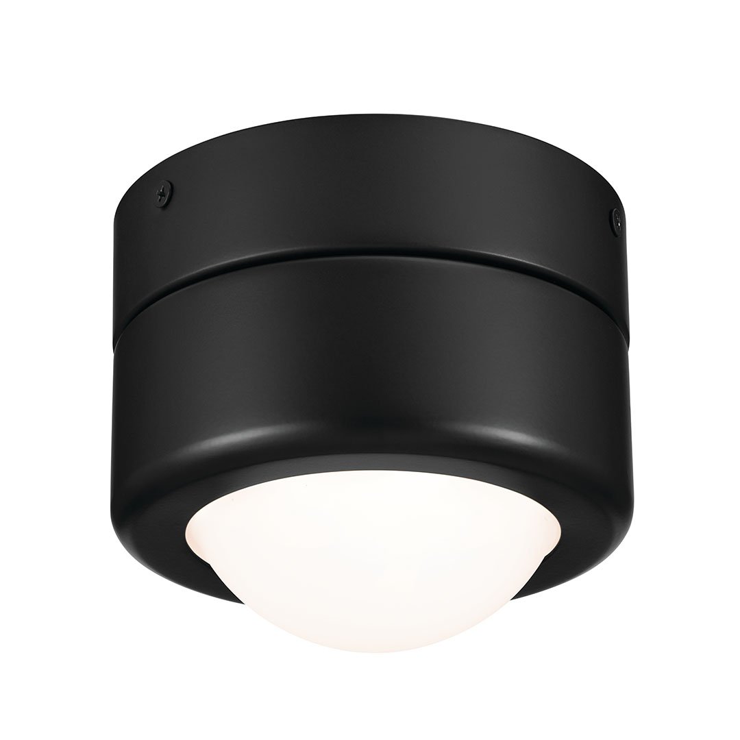 Tibbi Ceiling Light 52600BK