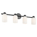 Shae Vanity Light 55203BK