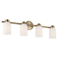 Shae Vanity Light