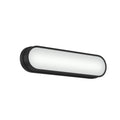 Daines Vanity Light 55246BKLED