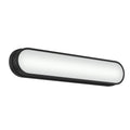 Daines Vanity Light 55247BKLED