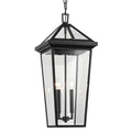 Regence Outdoor Hanging Light 59130BKT