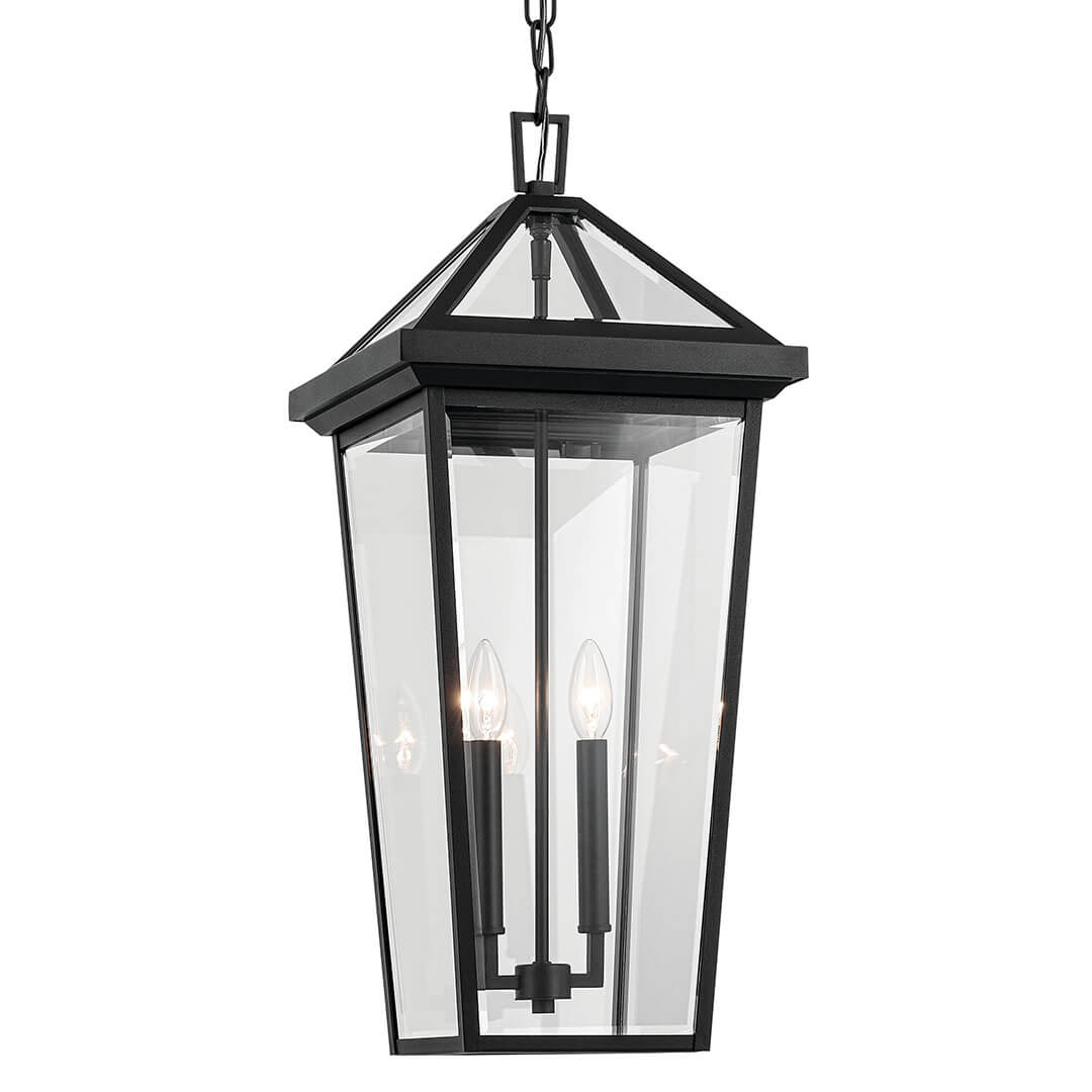 Regence Outdoor Hanging Light 59130BKT