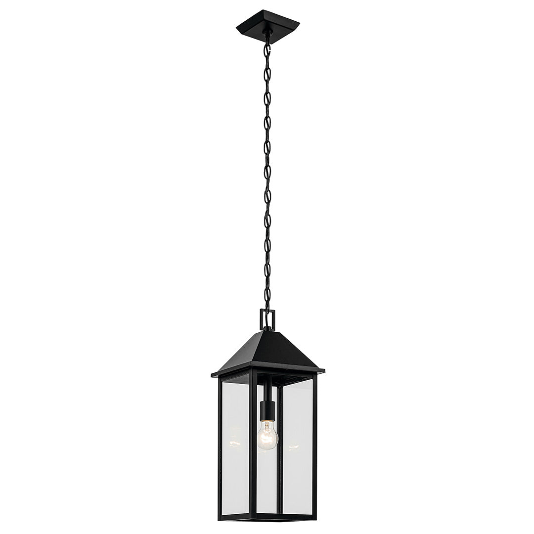 Prin Outdoor Hanging Light 59160BK