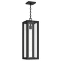 Calen Outdoor Hanging Light 59212BKT