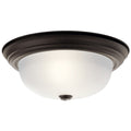 Ceiling Light 8112OZ