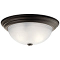 Ceiling Light 8116OZ
