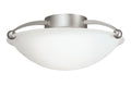 Ceiling Light 8405NI