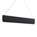 Walman Chandelier 84316MBK